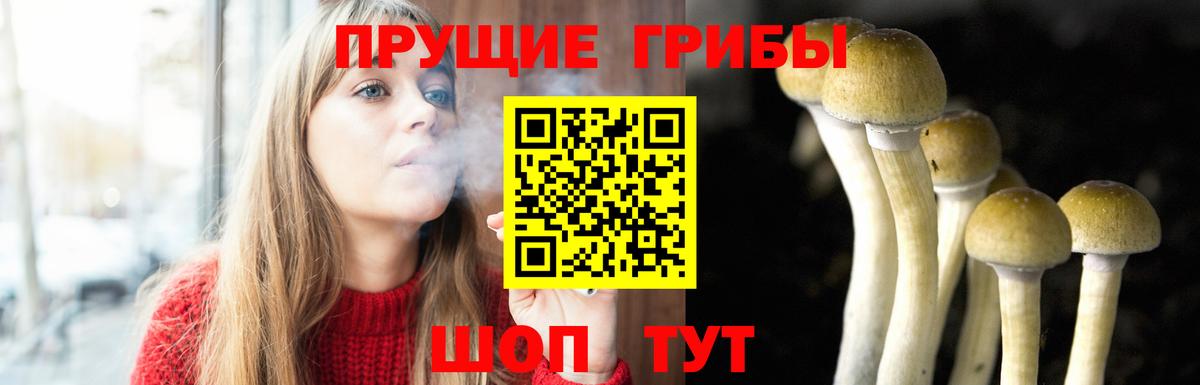 Галлюциногенные грибы мицелий  Вход с VPN  Галлюциногенные грибы MAGIC MUSHROOMS  Соль-Илецк 